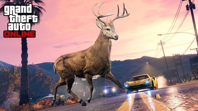 gta 5 online bug fixes list 1735958104 GameOLL