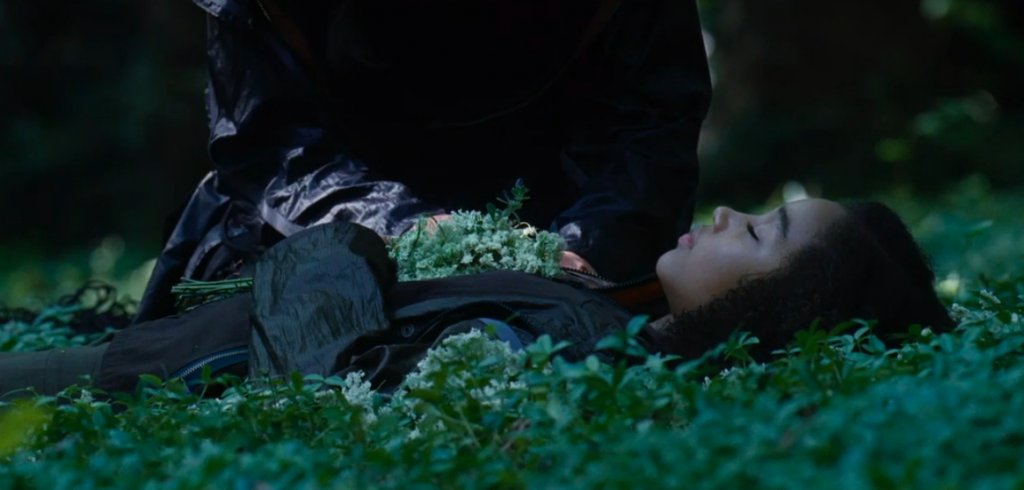 whats the point of view in hunger games 1736337119 GameOLL